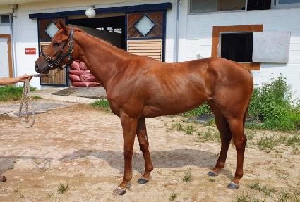 ��ī��Ÿ ����