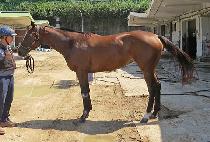 �ǵ��Ƹ��� (AKDONG ARGO) ����