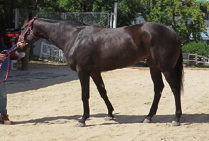 �μ�è�� ����