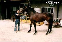 ������ (MAN MUL SANG) ����