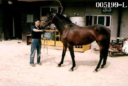 ������ ����