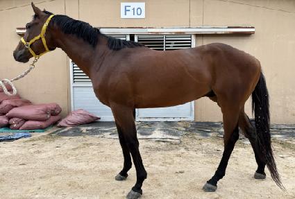 �������� ����