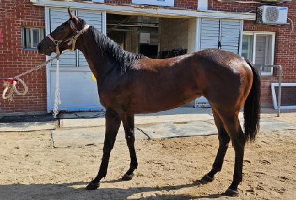 ���忡�̺� ����