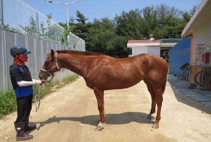 ���ӿ��� ����