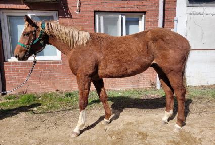 ���Ի�Ÿ�̰� ����