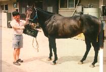 ������ (SEU SEU RO) ����