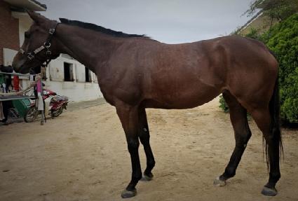 �����Ÿ ����