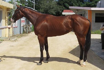 ����Ƽ�� ����