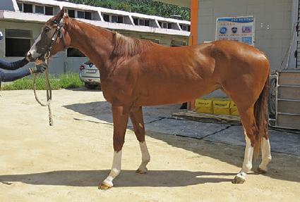 ���ͽ��̸� ����