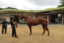 ��������� (LEGEND RULES) ����