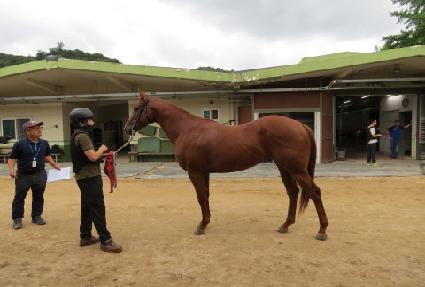 ��������� ����