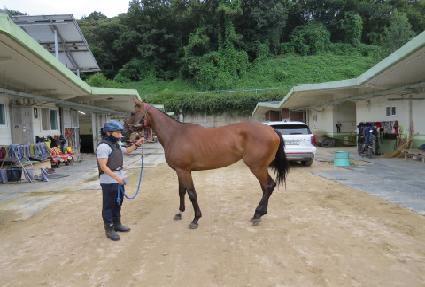 �ε������ ����