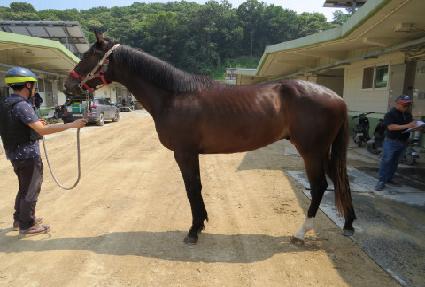 ���������� ����