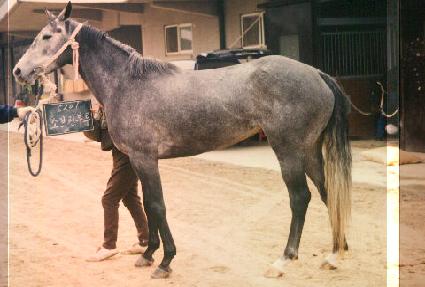 �Һ기��� ����