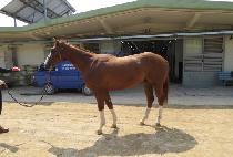 ���׿��� (RUNNING WANGJA) ����