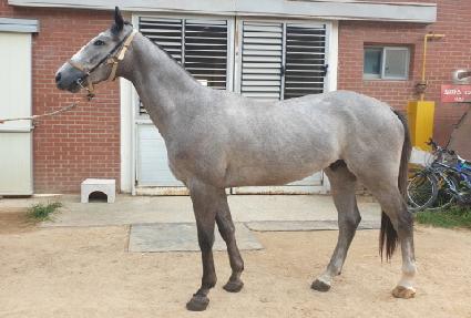 ���������� ����