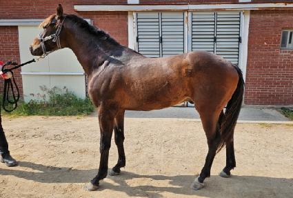 ���̽��� ����