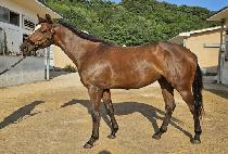 ����Ǯ����ġ (WONDERFUL PREACH) ����