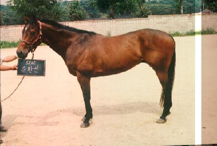 ��ȯ�� ����