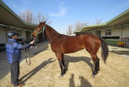 ������� ����