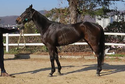 �Ŀ����丮 ����