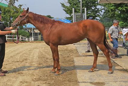 ���̽����� ����