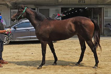 ������ ����