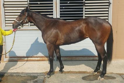 �����Ű ����