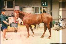 ���� (CHUNG JEUL) ����