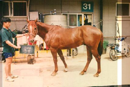 ���� ����