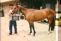 ������ (DEUK JEUM PO) ����