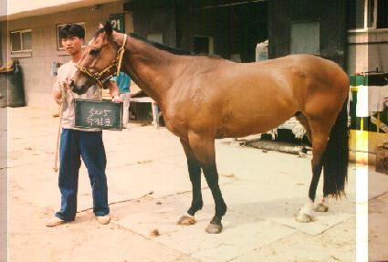 ������ ����