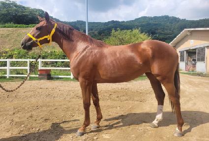 �۷θ����� ����