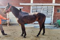 ���繫�� (MANSAMUSA) ����