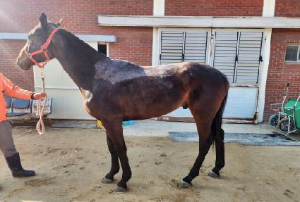 ���繫�� ����