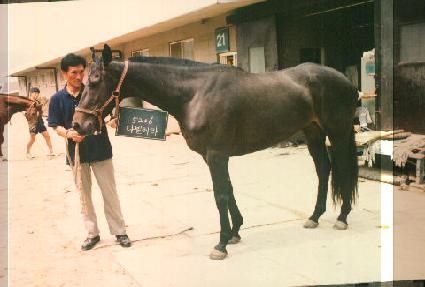 �������� ����