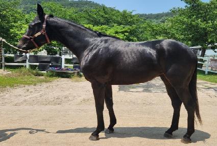 �ķ� ����