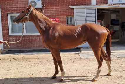 �۷θ����� ����