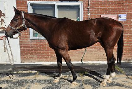 �ǹ����� ����