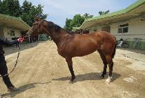 �������� (GEOLJAK CHUKJE) ����