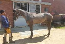 �������� (NAKDONG MYEONGJAK) ����