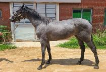 ���ǽô� (SEONGSIL SIDAE) ����