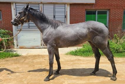 ���ǽô� ����