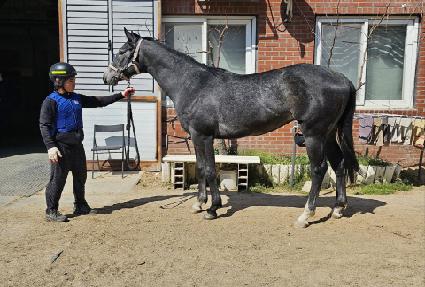 ���͹���Ű ����