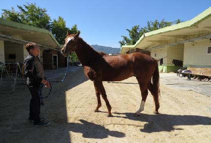 ����α��� ����