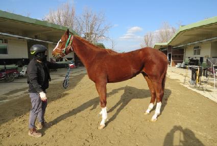 �ĸ��ޱ� ����