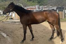 �Ƹ��ٿ�� (AREUMDAUNNALDEUL) ����