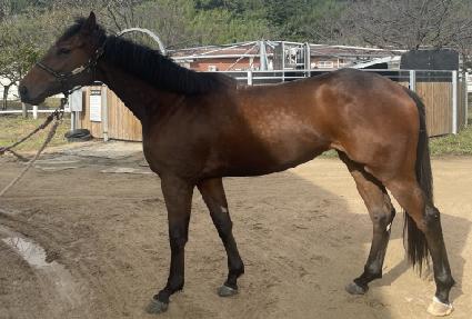 �Ƹ��ٿ�� ����