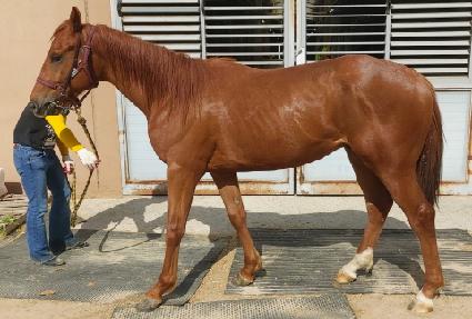 �ϴð�� ����