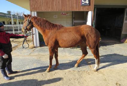 ��ũ������ ����